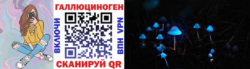 Псилоцибиновые грибы прущие грибы  Купить закладки  Енисейск 